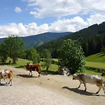 Gsenghof Filzmoos