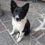 Farm stay Gsenghof