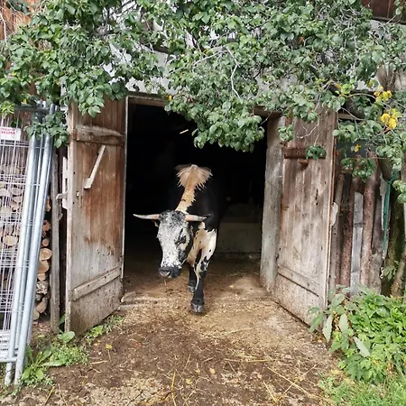 Farmház Gsenghof *