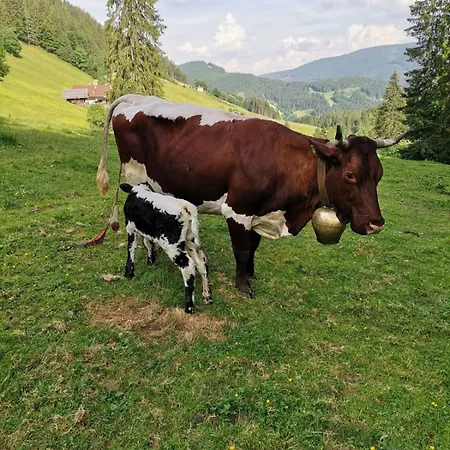 Gsenghof Farmház *